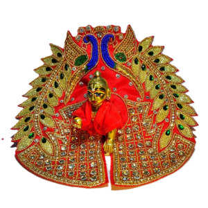 Red Heavy Zardosi Work Poshak