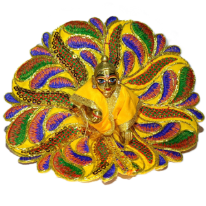 Fancy Laddu Gopal Dress